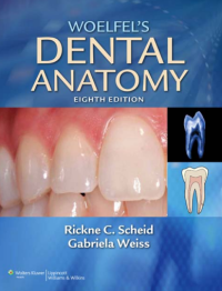 WOELFEL'S DENTAL ANATOMY