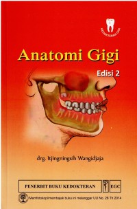 Anatomi Gigi